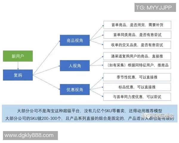 实时新闻深入分析成都排球队的运营策略与市场推广模式